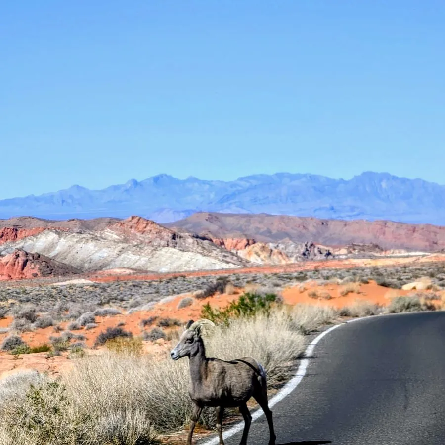 Valley of Fire, Nevada